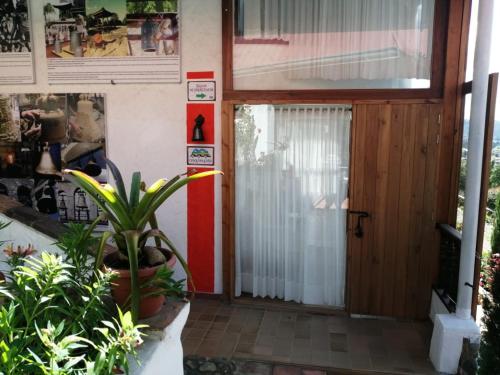a front door of a house with a plant at Hotel Cabañas El Rincón de las Campanas in Nobsa