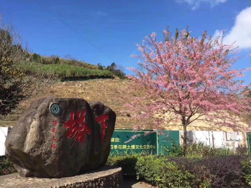 a rock with writing on it in front of a tree at Nanjing Tulou Xinyuan HomeStay in Nanjing