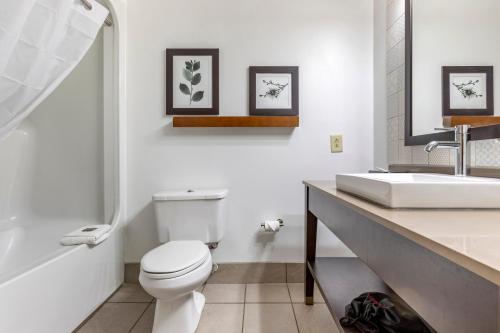 a bathroom with a white toilet and a sink at Country Inn & Suites by Radisson, Lumberton, NC in Lumberton