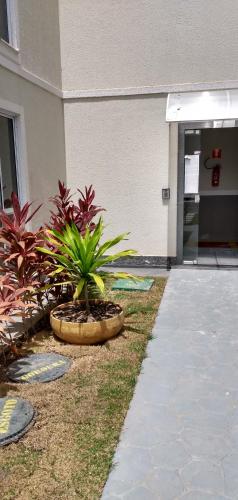 a plant in a pot in front of a building at Plaza Fraga Maia in Feira de Santana