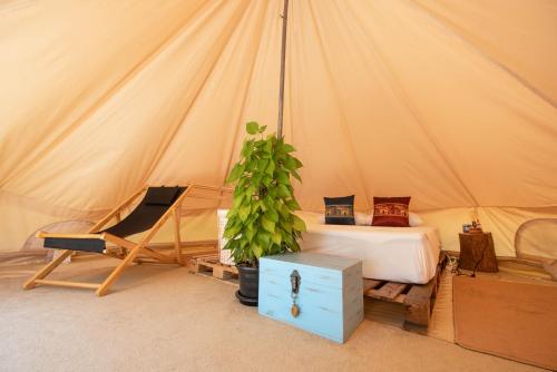Φωτογραφία από το άλμπουμ του Roost Glamping - SHA Certified σε Rawai Beach