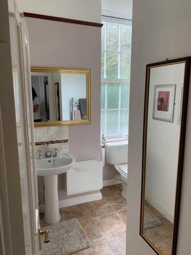 a bathroom with a sink and a toilet and a mirror at Easter Garth Guest House in Helensburgh