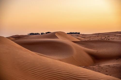 a desert with sand dunes in the sunset at Arabian Oryx Camp in Shāhiq