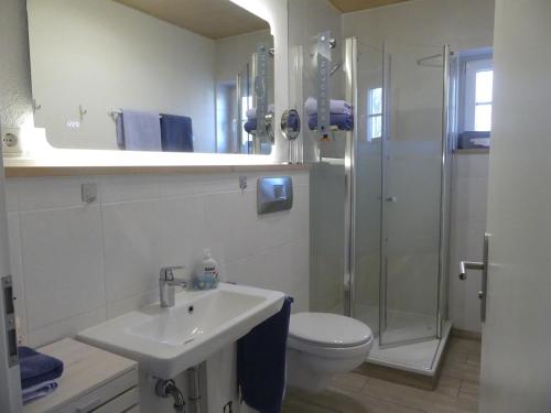 バート・ハルツブルクにあるFerienwohnung Weitsichtのバスルーム(トイレ、洗面台、シャワー付)