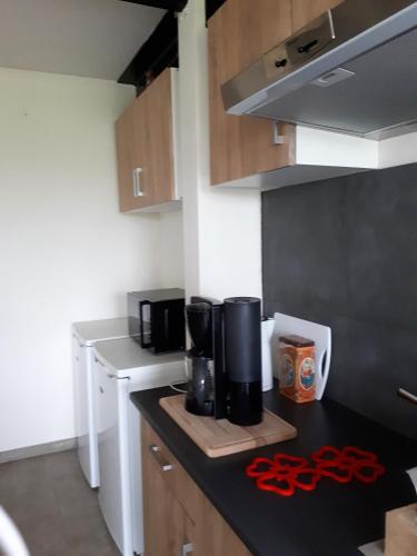 a kitchen with a counter with a coffee maker on it at Klein Cambron in Hulst