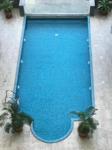 a large blue swimming pool with two plants at Obhur Residence 2 in Obhor