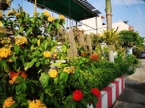 un'esposizione di fiori di fronte a un edificio di Sab Suwarn Mansion a Suphanburi