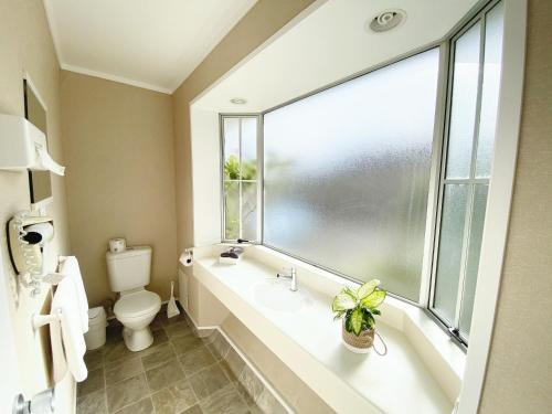 baño con aseo y lavabo y ventana en Barclay Motel, en Hamilton
