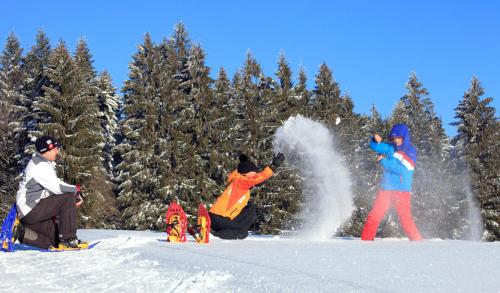 a group of people playing in the snow at Landhotel Haagerhof in Aigen im Mühlkreis