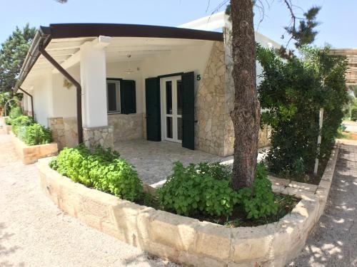 a house with a tree and plants in front of it at WHITE POOL 5P Matino - Gallipoli in Matino