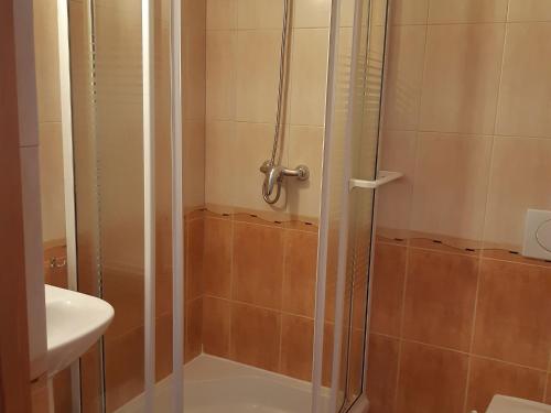 a shower with a glass door in a bathroom at Willa Wisienka in Zakopane