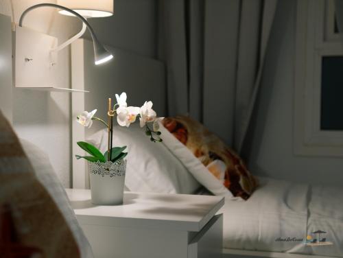 DOS PLAYAS - Torrevieja