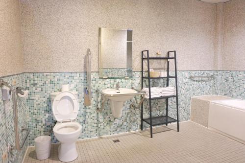 埔里鎮的住宿－NCNU Campus Inn暨大行旅，一间带卫生间、水槽和镜子的浴室