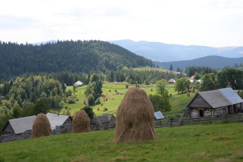 Příroda nedaleko penzionu