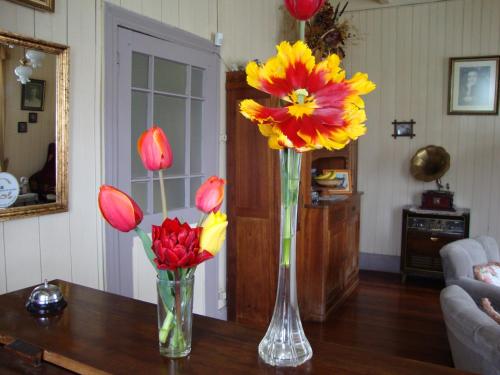 two vases filled with flowers on a table at Laguneclub - Su casa de campo in Frutillar