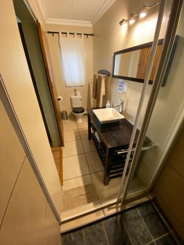 a bathroom with a sink and a toilet at Haus Holzapfel in Beaufort West