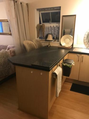a kitchen with a black counter top in a room at Laundry Cottage Apartments in Southampton