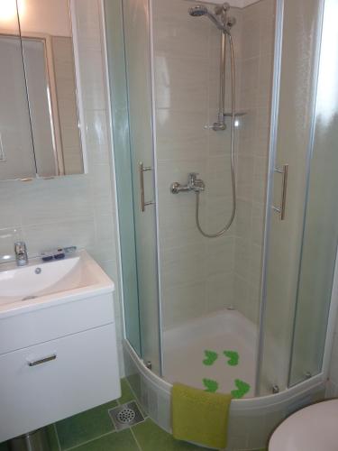 a bathroom with a shower and a toilet and a sink at Apartments Ori in Tkon