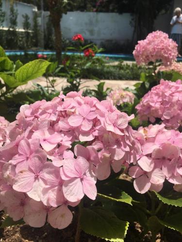 Κήπος έξω από το Chalé Rosa do Vale