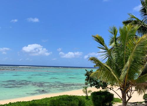 een strand met een palmboom en de oceaan bij Panama Beachfront Apartments, Rarotonga in Rarotonga