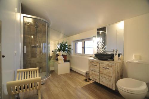 La salle de bains est pourvue de toilettes et d'une douche en verre. dans l'établissement La Demeure du Lac de Fugeres, au Puy-en-Velay