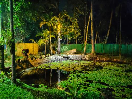 Jardín al aire libre en Marari Ebin Charlys