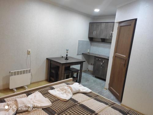Kuchyň nebo kuchyňský kout v ubytování Mziuri Guest House
