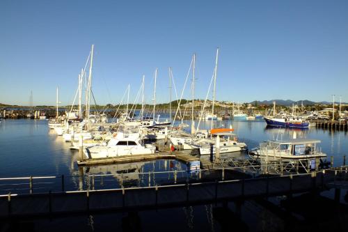 a bunch of boats docked at a marina at Pacific Marina Apartments in Coffs Harbour