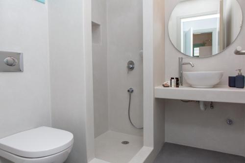 納克索喬拉的住宿－Azaland Naxos，一间带卫生间、水槽和镜子的浴室