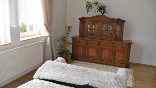 uma sala de estar com um armário de madeira e um tapete em Villa Federer em Dolní Zálezly