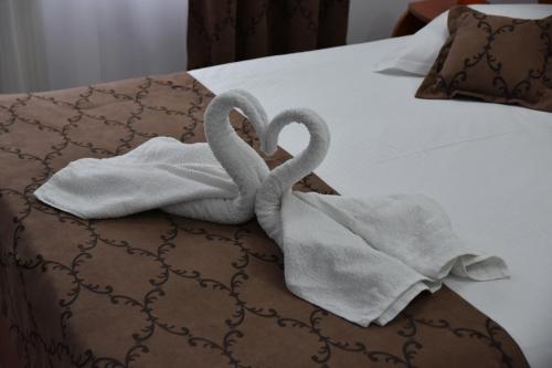 Foto dalla galleria di Pensiunea Steluta a Predeal