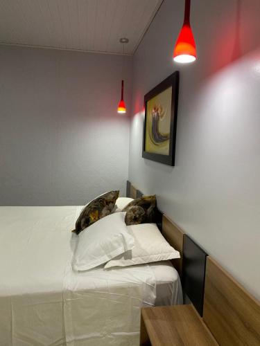 a bedroom with a bed and two pillows on it at Rossi Hotel in Comodoro