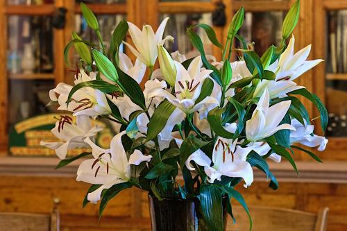 a bouquet of white flowers in a vase on a table at Casa de la Real Aduana Boutique Hotel in Pátzcuaro