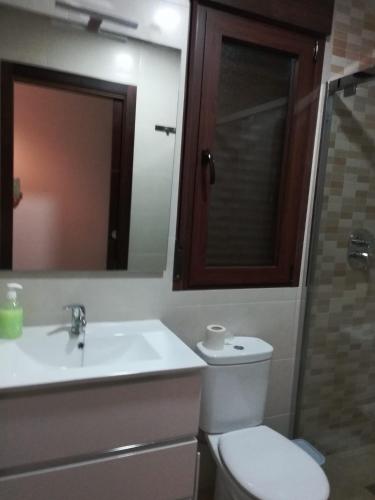 a bathroom with a toilet and a sink and a mirror at Casa Javi y Carmen B Iz in Coto Ríos