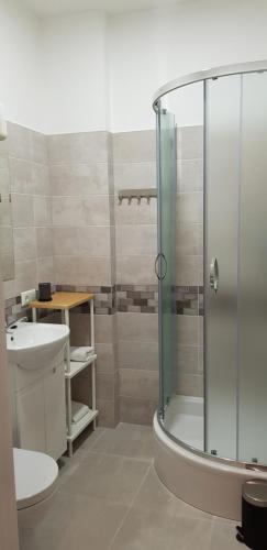 a bathroom with a shower and a toilet and a sink at Kuivižu Krogs - motelis in Salacgrīva