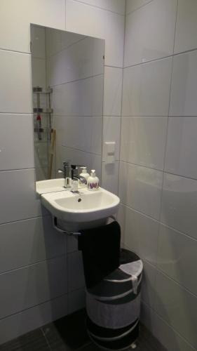 La salle de bains est pourvue d'un lavabo et d'un miroir. dans l'établissement Nirosa, à Epse