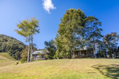 a house in a field with a large tree at Friday Creek Retreat in Coffs Harbour