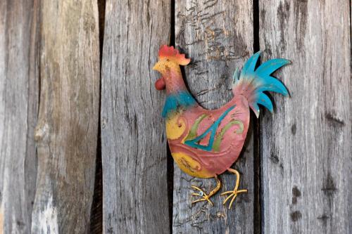 a colorful chicken ornament hanging on a wooden door at Friday Creek Retreat in Coffs Harbour