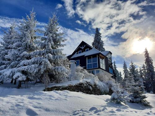Apartments Panda im Winter