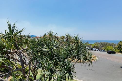 a bunch of plants on the side of a road at Aqua Promenade Beachfront Holiday Apartments in Sunrise Beach