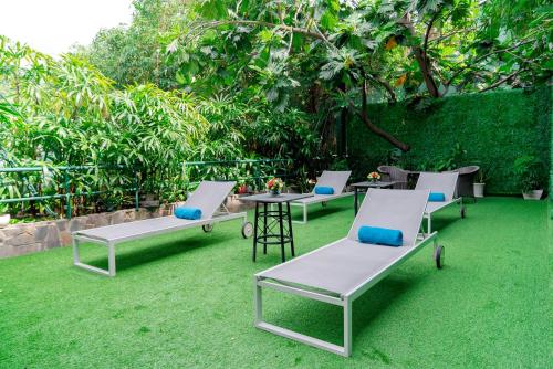 Ein Garten an der Unterkunft Royal Hotel Saigon