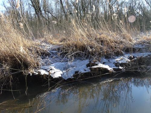 a riverbank with snow and some grass and trees at De Oude Stoffeerderij in Dussen