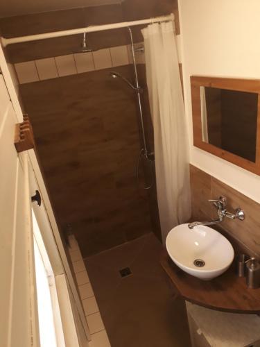 a bathroom with a shower and a toilet and a sink at Chatky u potoka, chatička č. 1 in Olešnice v Orlických horách