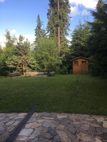 a yard with a small building in the grass at László apartman in Harghita-Băi