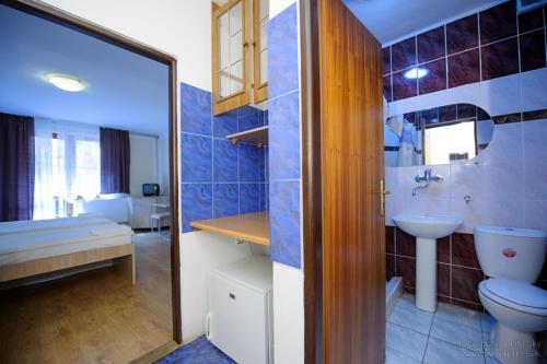 La salle de bains est pourvue de toilettes, d'un lavabo et d'un miroir. dans l'établissement Horský hotel Eva, à Svätý Jur