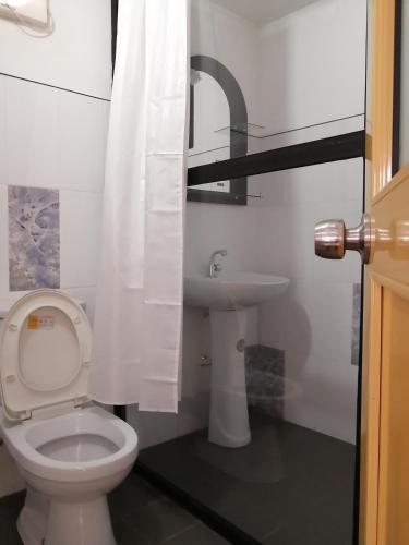 Un baño de Ibis
