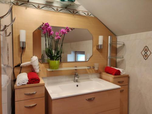 łazienka z umywalką i lustrem w obiekcie Relax - Ferienhaus in Wien w Wiedniu