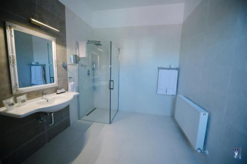 a bathroom with a sink and a glass shower at Hotel La Belle Epoque in Petroşani