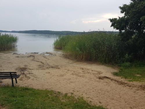 a bench sitting on a beach next to a body of water at Blockhaus Canow mit Fahrrädern in Canow