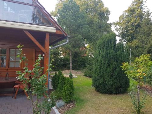 a house with a yard with bushes and trees at Blockhaus Canow mit Fahrrädern in Canow